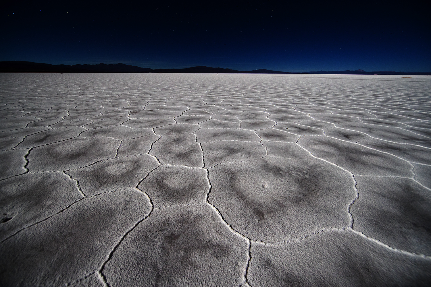 Altiplano 17, Gallery 7 – On the way to Chile. Salt lakes and Vicunas.